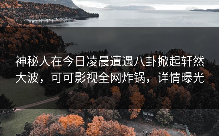 神秘人在今日凌晨遭遇八卦掀起轩然大波，可可影视全网炸锅，详情曝光