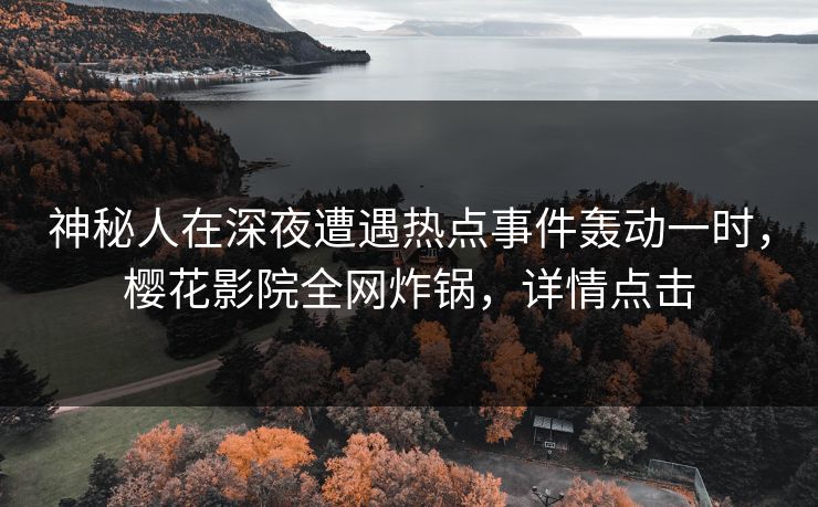 神秘人在深夜遭遇热点事件轰动一时，樱花影院全网炸锅，详情点击