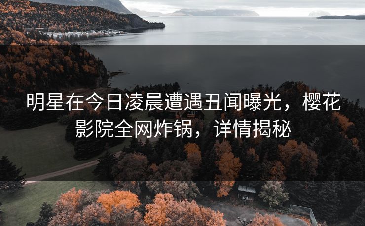 明星在今日凌晨遭遇丑闻曝光，樱花影院全网炸锅，详情揭秘
